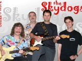 The SKYDOGS
